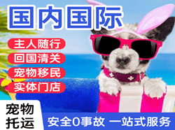 腾鳌空运代理国际宠物托运 【国